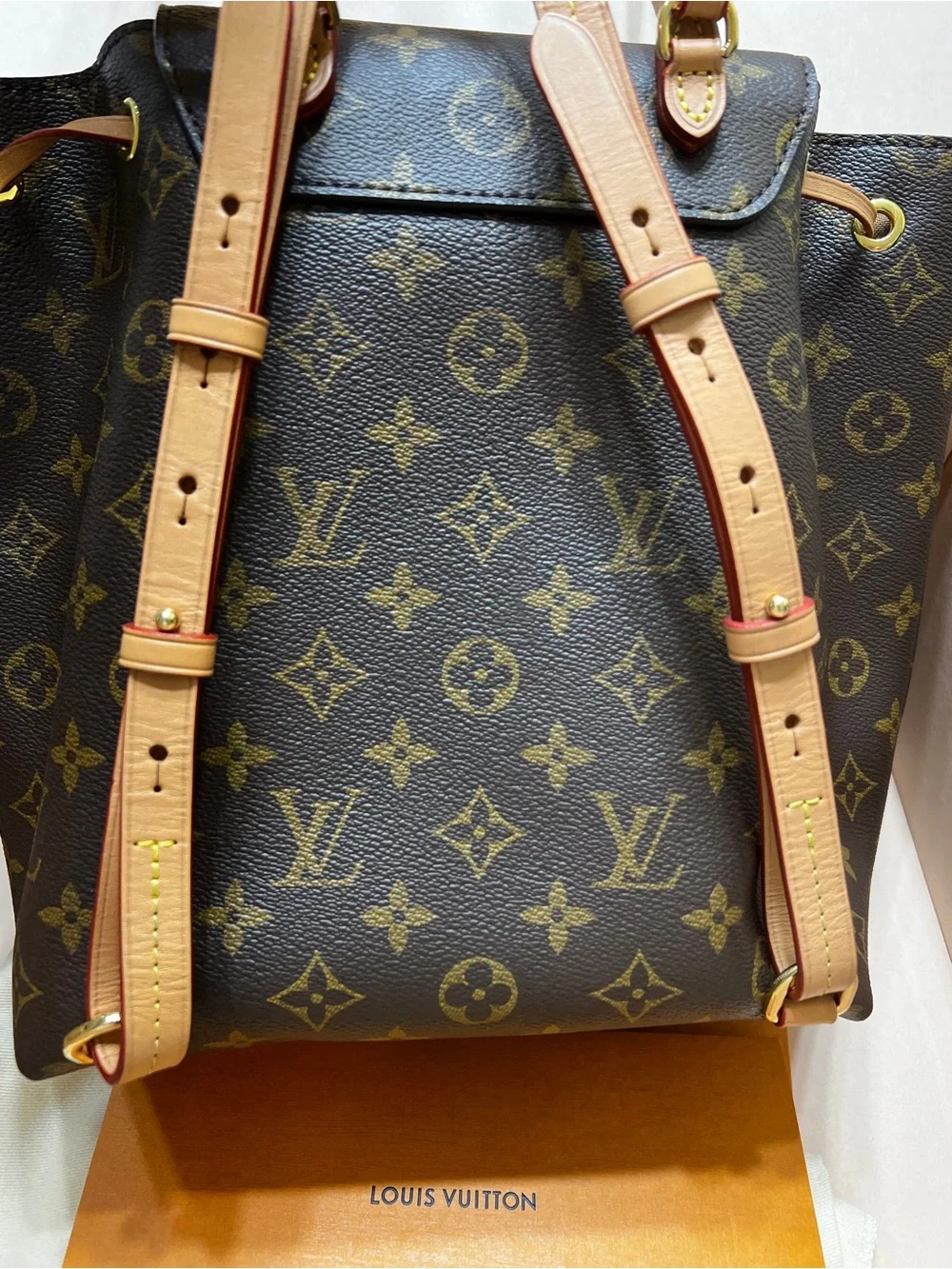 Louis Vuitton Monogram Canvas Backpack in Brown and Vachetta